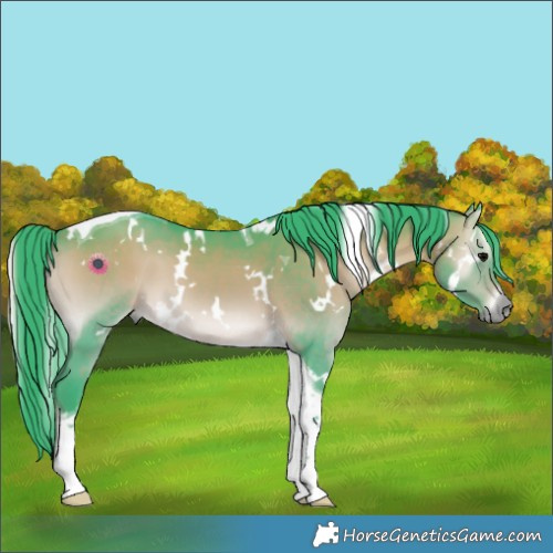 Horse Color:Watercolor White Spotted Brown Onyx Tobiano 