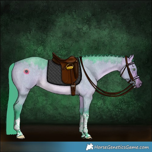 Horse Color:Watercolor Buckskin Roan Dun Tobiano Rabicano