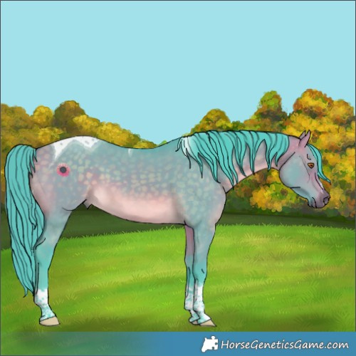 Horse Color:Watercolor Chocolate Buckskin Dun Tobiano 