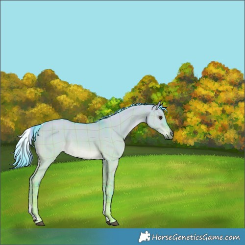 Horse Color:Watercolor Plaid  Liver Red Dun Tobiano Rabicano 