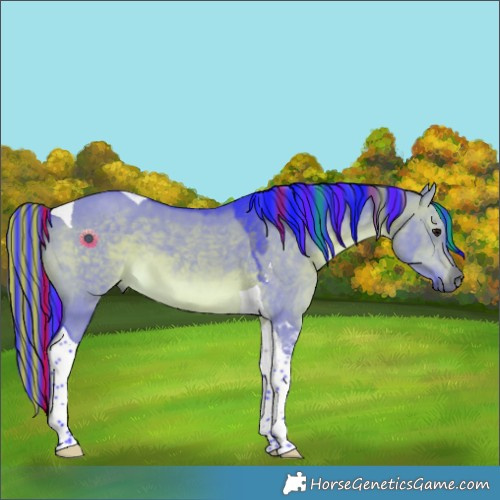 Horse Color:Painted Watercolor Brown Dun Tobiano 