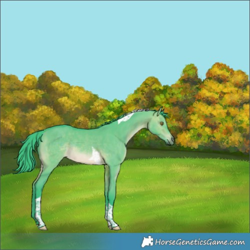 Horse Color:Watercolor Brown Dun Tobiano Rabicano 