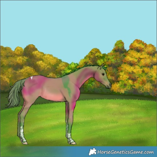 Horse Color:Watercolor Grullo Tobiano Rabicano 