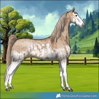 Horse Color:Red Dun Splash  and Red Dun Splash 