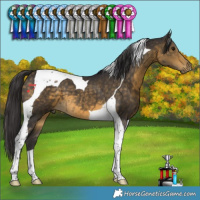 Horse Color:Buckskin Tobiano 