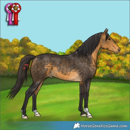 Horse Color:Buckskin 