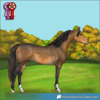 Horse Color:Buckskin