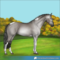 Horse Color:Gray Smoky Grullo Tobiano