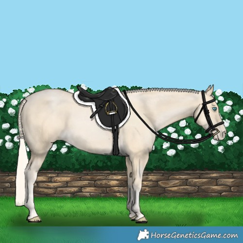 Horse Color:Palomino Pearl 