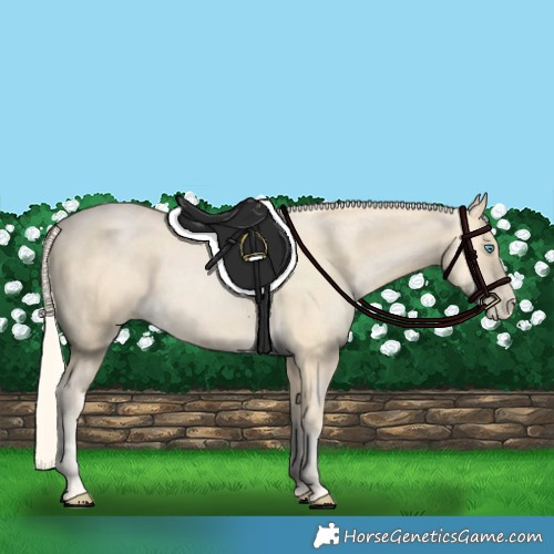 Horse Color:Palomino Pearl 