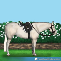 Horse Color:Palomino Pearl 