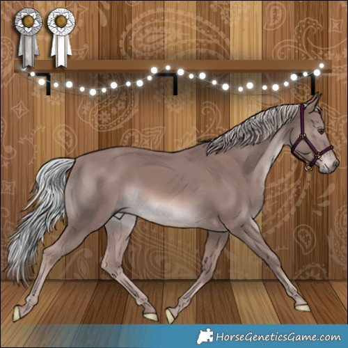 Horse Color:Platinum Chestnut Rabicano 
