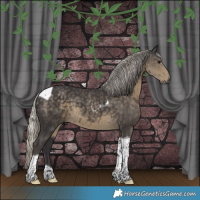 Horse Color:Silver Smoky Black Tobiano 