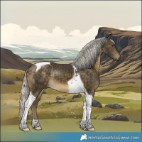 Horse Color:Silver Buckskin Tobiano 