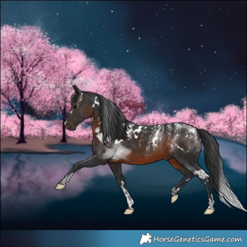 Horse Color:Powder White White Spotted Brown Mushroom 