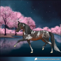 Horse Color:Powder White White Spotted Brown Mushroom 