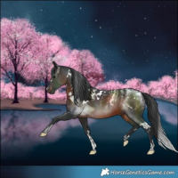 Horse Color:Powder White White Spotted Brown Mushroom