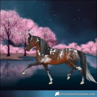 Horse Color:Powder White White Spotted Brown Mushroom 