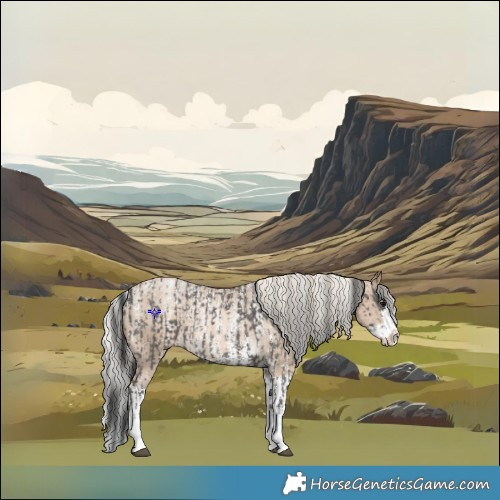 Horse Color:Black Sabino Appaloosa Rabicano  and Chocolate Palomino Pearl Sabino Splash Appaloosa Rabicano 