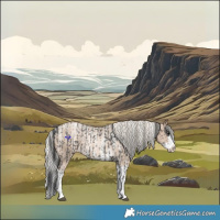 Horse Color:Black Sabino Appaloosa Rabicano and Chocolate Palomino Pearl Sabino Splash Appaloosa Rabicano