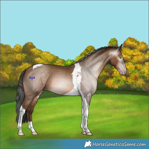 Horse Color:Gray Amber Champagne Tobiano 