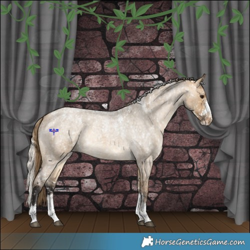 Horse Color:Buckskin Roan Dun Appaloosa  and Silver Buckskin Roan Dun Appaloosa 
