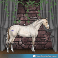 Horse Color:Powder White Buckskin Roan Dun Snowflake Varnish  and Powder White Silver Buckskin Roan Dun Snowflake Varnish 