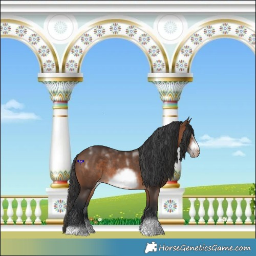 Horse Color:Powder White Brown Frame Appaloosa Rabicano 