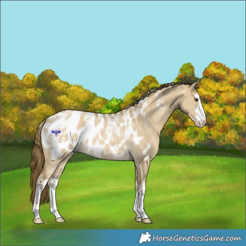 Horse Color:Powder White White Spotted Classic Cream Champagne Dun Appaloosa Rabicano 