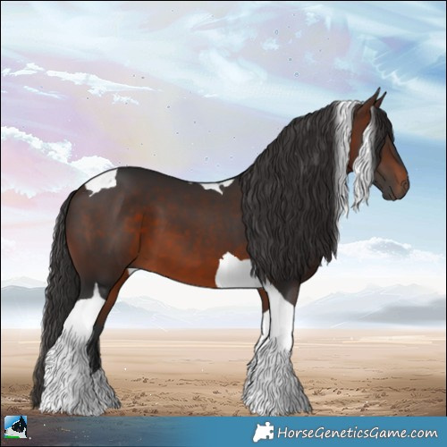 Horse Color:Brown Tobiano 
