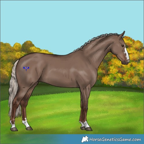 Horse Color:Liver Red Dun Mushroom 