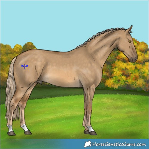 Horse Color:Chocolate Palomino Dun Mushroom 