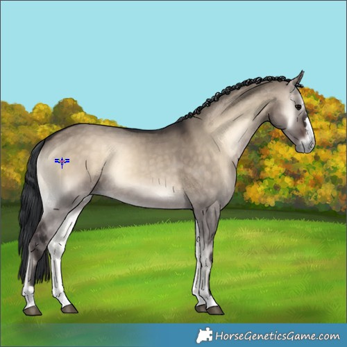 Horse Color:Brown Onyx 