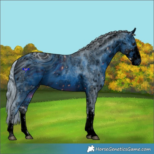 Horse Color:ERROR: UNKNOWN ANOMALY