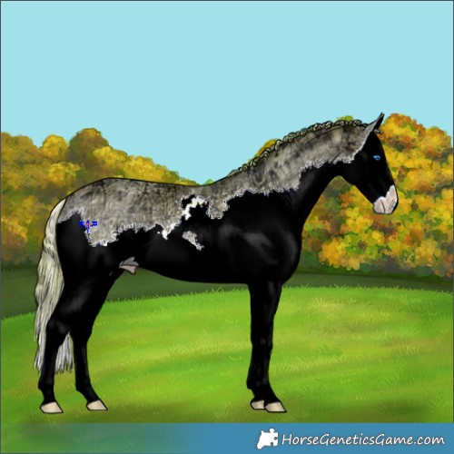 Horse Color:Watercolor Buckskin Ice Pearl Splash 