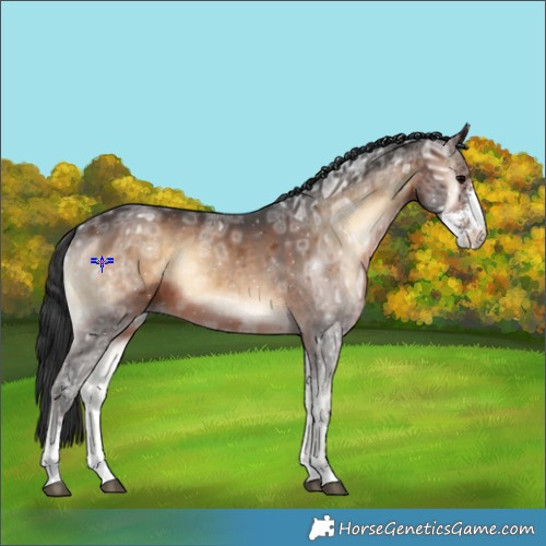 Horse Color:Brown Ice Onyx Sabino 