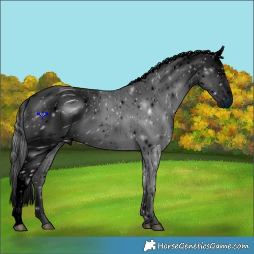 Horse Color:ERROR: UNKNOWN ANOMALY