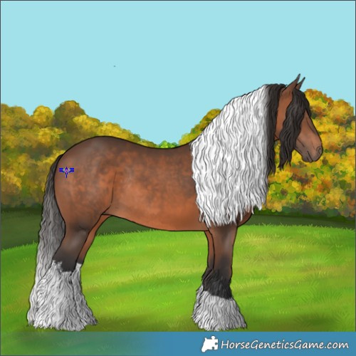 Horse Color:White Spotted Brown Tobiano Rabicano 