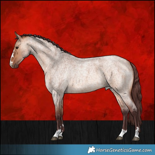 Horse Color:Chocolate Bay Roan Dun