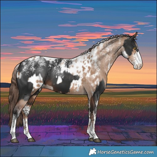 Horse Color:Powder White Liver Chestnut  and Powder White Brown Dun Appaloosa Rabicano 