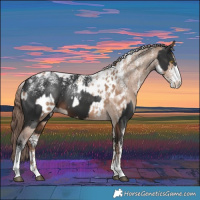 Horse Color:Powder White Liver Chestnut  and Powder White Brown Dun Appaloosa Rabicano 