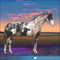 Horse Color:Powder White Liver Chestnut  and Powder White Brown Dun Appaloosa Rabicano 