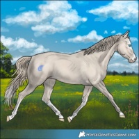 Horse Color:Smoky Creme and Smoky Creme Splash