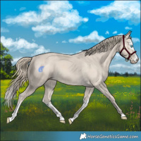 Horse Color:Smoky Creme and Smoky Creme Splash