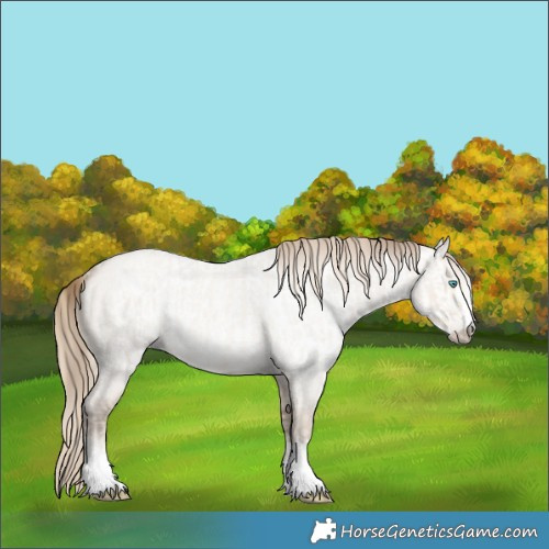 Horse Color:Smoky Creme Roan Dun  and Gray Smoky Creme Roan Dun 