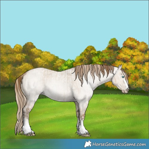 Horse Color:Smoky Creme Roan Dun  and Gray Smoky Creme Roan Dun 