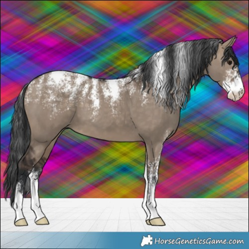 Horse Color:Powder White Brown Dun 