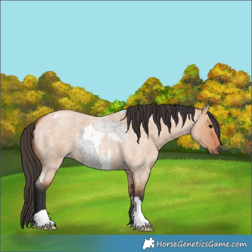 Horse Color:Grullo Roan Tobiano  and Bay Roan Dun Tobiano 