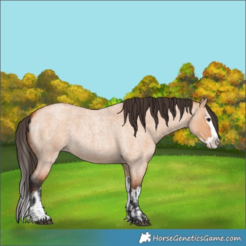 Horse Color:Bay Roan Dun Splash  and Bay Roan Dun Splash 