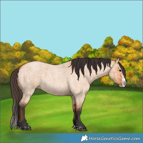 Horse Color:Bay Roan Dun Splash  and Bay Roan Dun Splash 